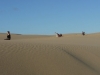 dune-solos